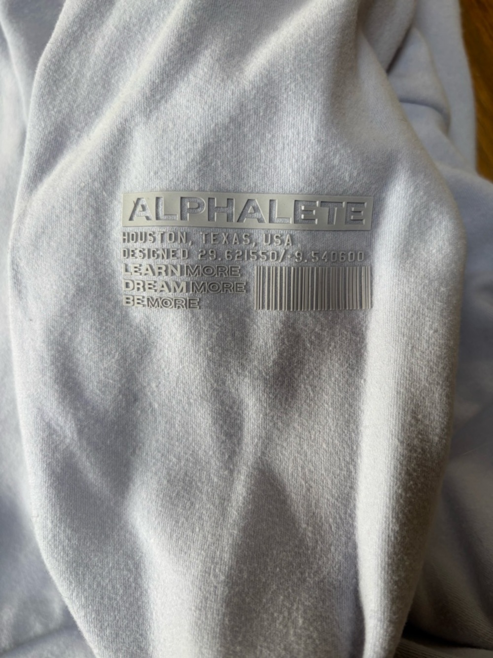 Alphalete Lilac/Blue Logo Sweatshirt in Light Gray